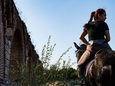 Experience the Gard by donkey or horse